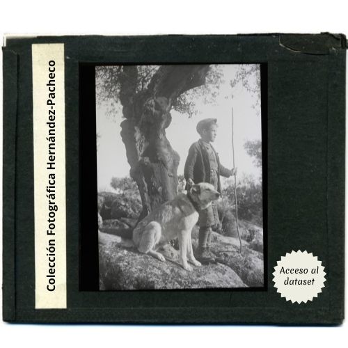 Acceso al dataset de la Colección Fotográfica Hernández-Pacheco