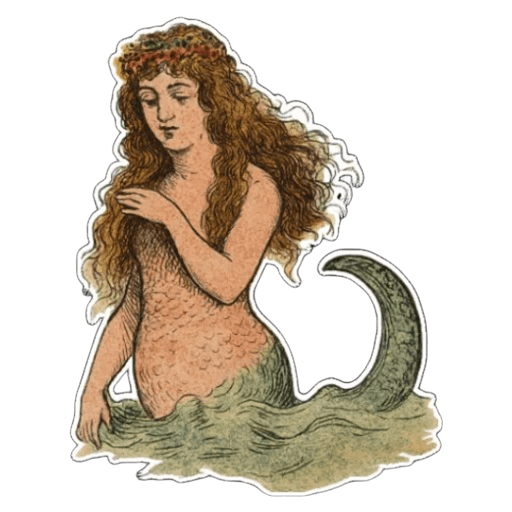 Ficha: Los inquilinos del mar